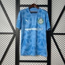 PALMEIRAS PORTERO I 25/26